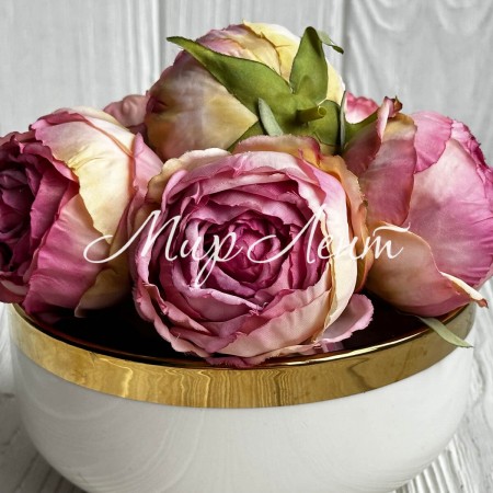 Бутон англійської троянди, 5-6 см, кремово-малинова, упаковка 20 шт.