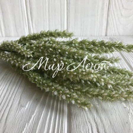 Ветка вереска пушистого, 40 см, оливковый, 1 шт.