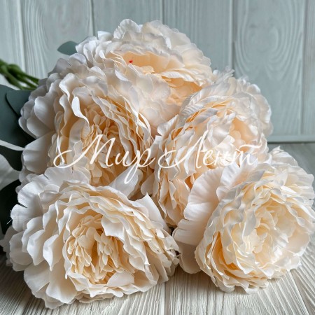 Букет пионов, 51 см, персиковый, шт.