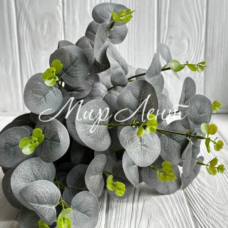 Эвкалипт с соцветием, 50 см, серый, шт.