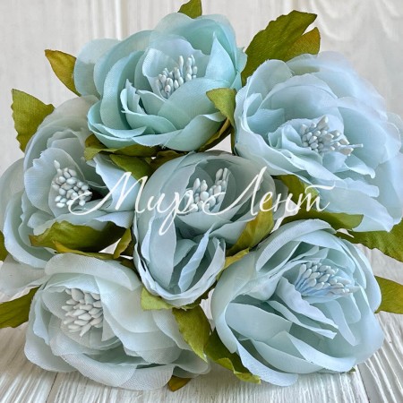 Бегония, 5х12 см, тиффани, упаковка 30 шт.