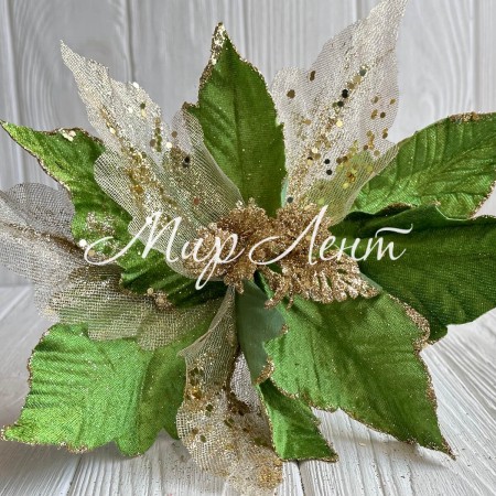 Пуансеттия бархатная (С30258), 31х30 см, оливковая, шт.