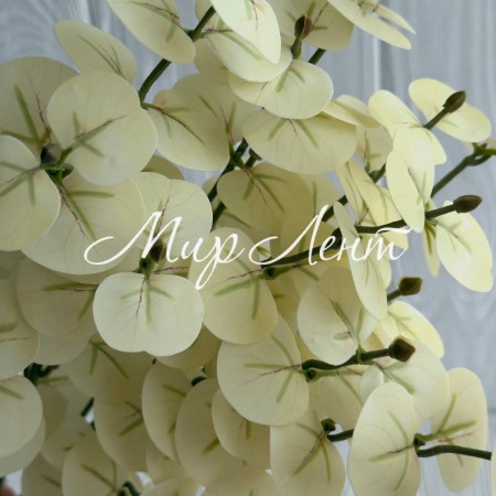 Ветка эвкалипта (ТВ-С30715), 47 см, молочно-оливковая, шт.