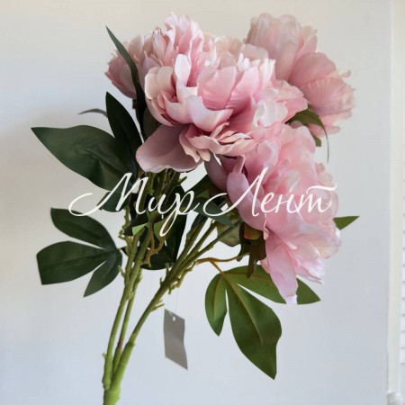Букет пионов (С30482), 50 см, молочно-розовый, шт.