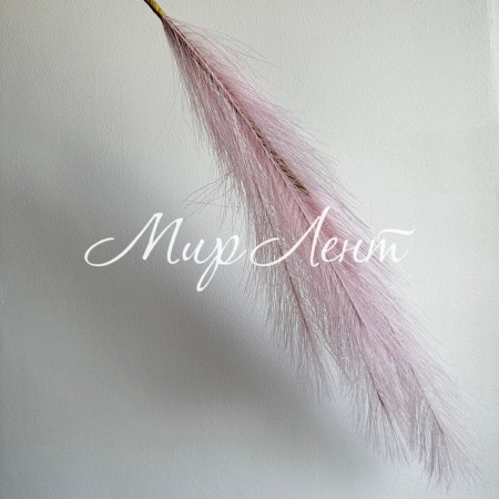 Кортадерия большая (штучная), 105 см, светло-розовая, шт.