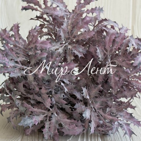 Букет остролиста (С30661), 32 см, фиолетовый, букет з 5 шт.