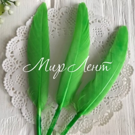 Пір'я довгі, 10-16 см, яскраво-зелений, упаковка 100 шт.