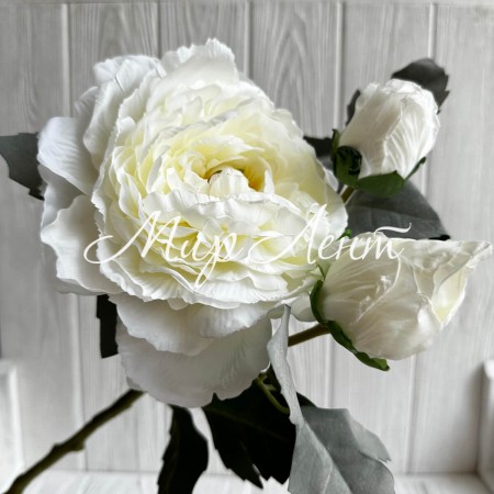 Піоновидна троянда на гілці, 64 см, молочна, шт.