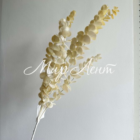 Ветка эвкалипта, 80 см, молочный, шт.