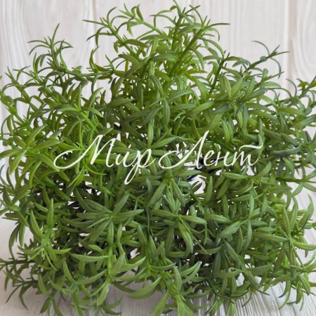 Букет декоративного розмарина (С30664), 18 см, зеленый, букет з 6 шт.