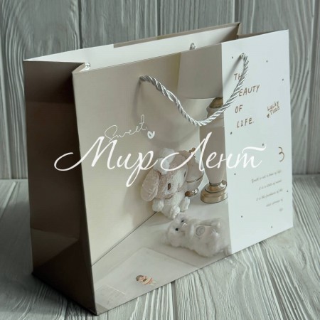 Подарунковий пакет з плюшевими іграшками (J01184), розмір 24,5х19,5х9,5 см, бежево-сырий, упаковка 12 шт. 