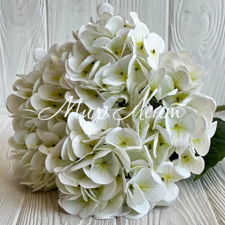 Гортензия (букет), 45 см, белая, шт.